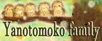 yanotomoko family